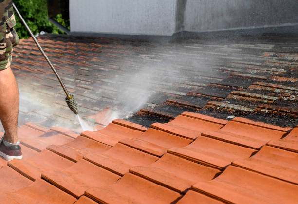 Trusted Watts Mills, SC Pressure Washing Experts