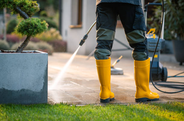 Best Pressure Washing Services Near Me  in Watts Mills, SC